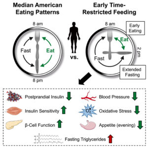 Graphical Abstract