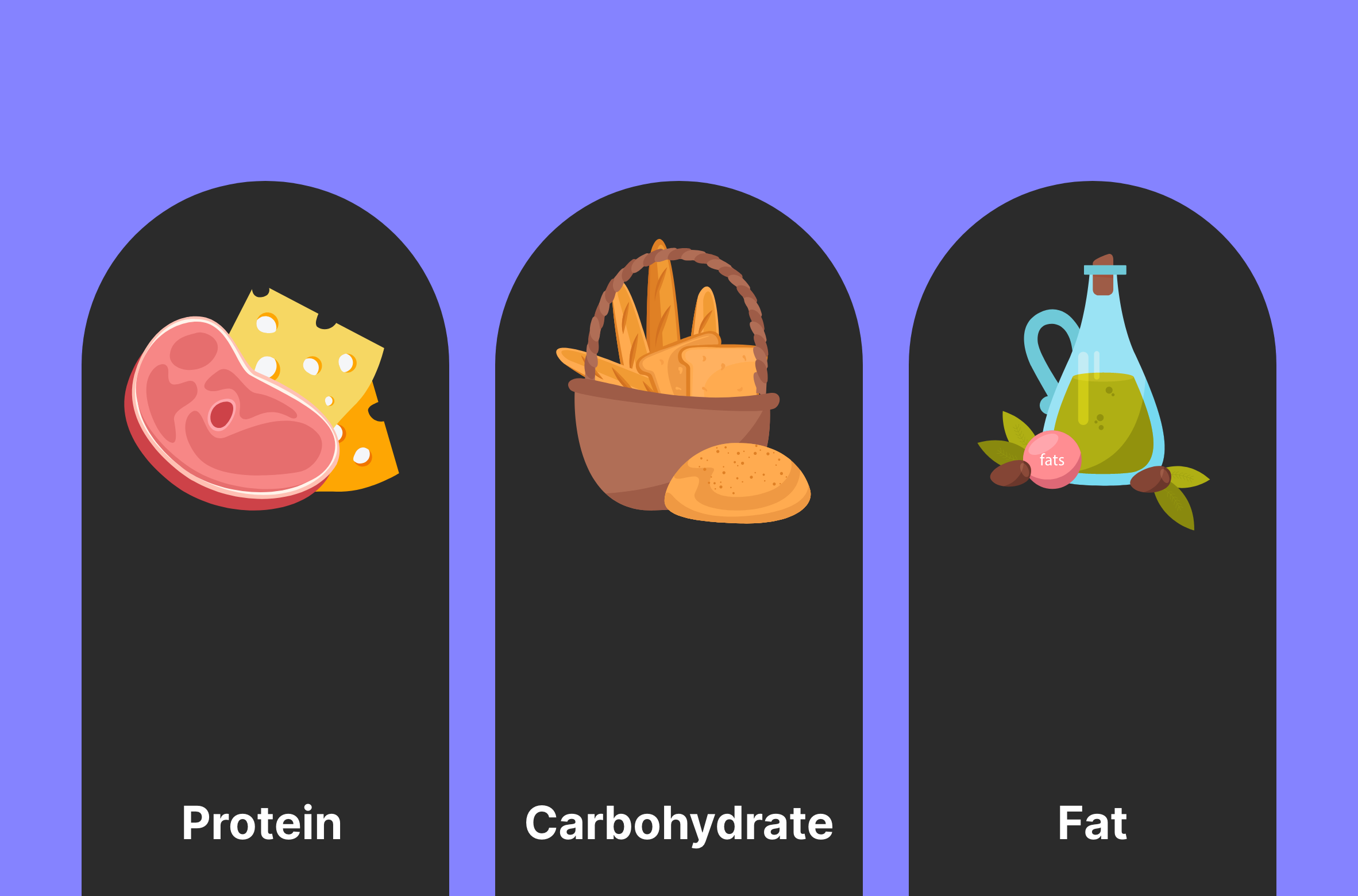 Macronutrients MyCircadianClock Blog